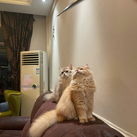 ���ż���èèһ���콡��������