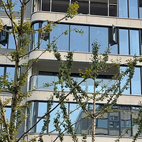 ����̨��̫���ˡ�������