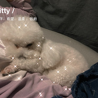 ����ĵ�һ�����Ӹ��ҵ�С����