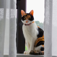 ȫ���14��-���װ100ƽ��