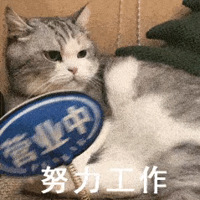 813ֵŷ浤˪75ml֧129Ž¶53