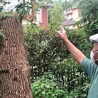 һ޼Լ14򣡳ǹܲŻӦ