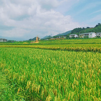 졾2021μǡ