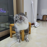 Ҫ���Ҽ�è������Ц����