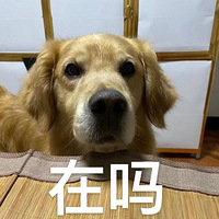 2021Щ콻·Ԥƿͨɳƺվþվڻ