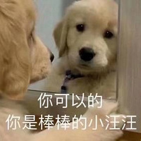 ˻һ죬ȫƭĸʷҼЩ¡