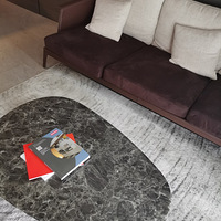 ���ⷢ�ֵ�ȫ�ݶ��ƣ���������