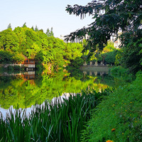 ��¼���Ͼ������ĳɳ�������һ�����ڵ������ó�