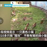 ԰ӦèȺΧ˹èӽɽƵ