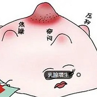 鷿Ӳ飿飿