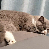 ʱ��ʱ�Ļ���Ҫ��ɹɹ�ҵ�С�����ǡ�����