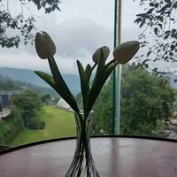 ֮