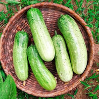 �ֵĲ˳Բ��꣬���͸��ھ��ˣ�һ��������յ��Ҹ�