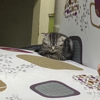 �ҵ�èԽ��Խ���أ�