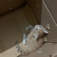 С������������