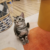 һ���������ĵط���˲�����鱻�Ȼ���