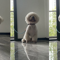 30���Ը����ɣ�ӵ��һ�׷��ӣ�װ��һ����