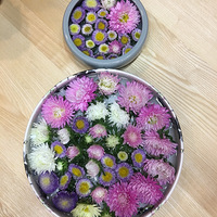 ����һ�軨��ˮ��