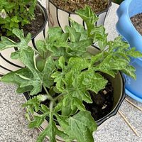 �������ֵ����Ͼ�Ȼ���ˣ�