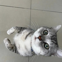 è��վ����������