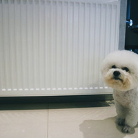 ��ʱ���죬�Ѽ����ů��Ƭװ���ˣ�