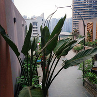 һ��ʱ�䣬¶̨�ı仯