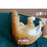 ��δ������ˡ������޳ܡ�֮è