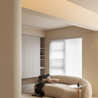 DAKE 2021حźҼż ɫϵʱ