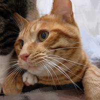 ���ӽ��еļ�������Ӵ~