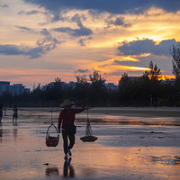 ���������ޣ����ֺ��������ѡ�������ǣ�ס�ĺ����Ƶ�360+