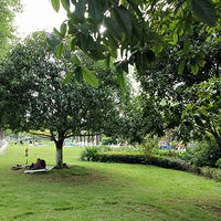 �ͱ�·��������С��Ұ�ͺõط�