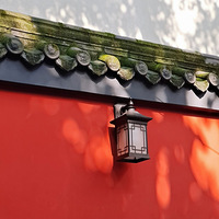 ���½�wanghong��