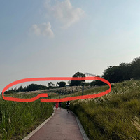 �򿨲ݺ��幫԰��«έ����û�뵽��ô��һƬ