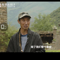 wanghongķһ״޼ҿɹ飬Ĵ