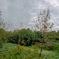 ������˹�����������������԰��Զ��