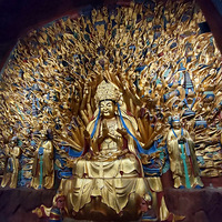 wanghongǼʷʳ6D