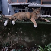 ����������ֻ������������������������~