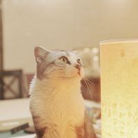 �����������������˵��ճ�