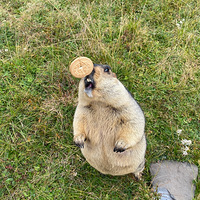 Ī˹