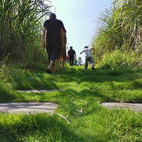 �����ӹ�԰�������һ��·