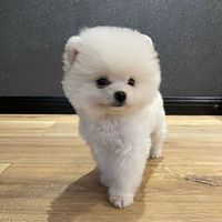 ��OK��������ں�����