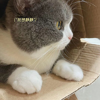 ����è�ܵ���Ů������������ɰ����Ը�����