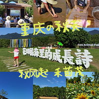 һȫС԰׽ѧľȾдƬտ