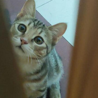 ������èѧ���˿��ź󣬾�Ȼ����