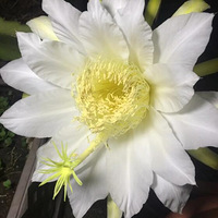 �������ĵ����������� ��һ�ο��� �е㼤��ing