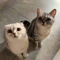 ԭ�ƻ��ĳ��ⷿ����Լ�ס�ˣ�8���Ǯ����ֵ��