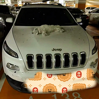 ���˸�������Ůè