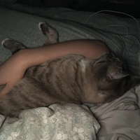 è��ÿ������һ��Ҫ��е�ȫ���𴲲Ű���