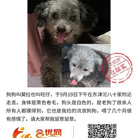 �ϴ��г�Ѱ��