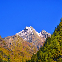 һ�ؼ�ë���Ĺ���ɽ